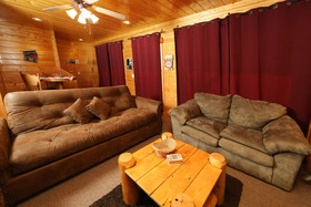 Bearadise In The Smokies