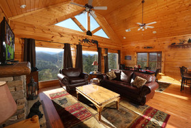 Bearadise In The Smokies