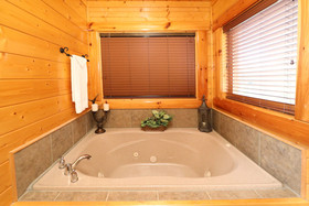 Bearadise In The Smokies