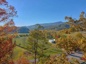Mountain Paws Retreat