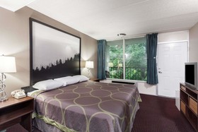 Super 8 by Wyndham Sevierville Riverside