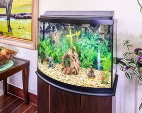 Econo Lodge Inn & Suites