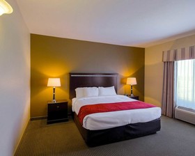 Comfort Suites University
