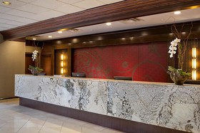 Crowne Plaza Dallas Near Galleria-Addison