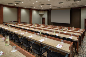 Crowne Plaza Dallas Near Galleria-Addison