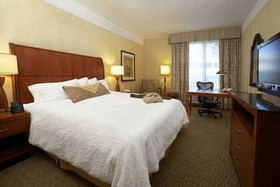 Hilton Garden Inn Dallas/Allen