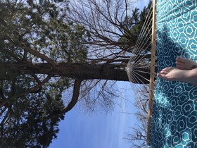Alpine Bed and Breakfast