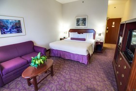 Spark by Hilton Amarillo East