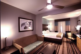 Holiday Inn Express Hotel & Suites Amarillo (West)