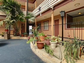 Budget Host Inn Arlington