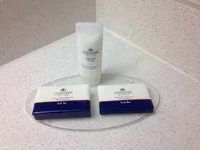 Sonesta Simply Suites Arlington