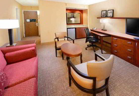 Courtyard Dallas Arlington/Entertainment District