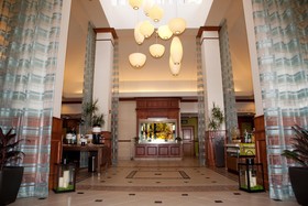 Courtyard Dallas Arlington/Entertainment District