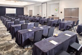Hilton Garden Inn Dallas/Arlington South