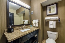 Holiday Inn Arlington NE Rangers Ballpark