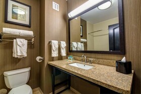 Holiday Inn Arlington NE Rangers Ballpark