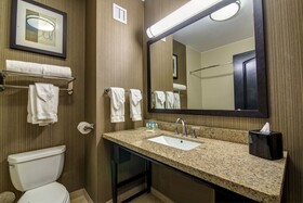 Holiday Inn Arlington NE Rangers Ballpark