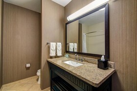 Holiday Inn Arlington NE Rangers Ballpark