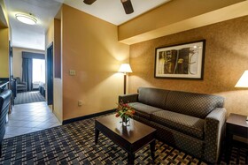 Holiday Inn Arlington NE Rangers Ballpark
