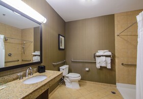 Holiday Inn Arlington NE Rangers Ballpark