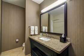 Holiday Inn Arlington NE Rangers Ballpark
