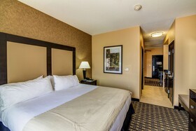 Holiday Inn Arlington NE Rangers Ballpark