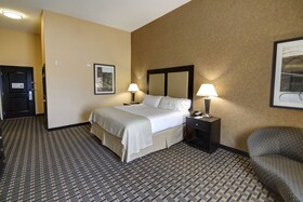 Holiday Inn Arlington NE Rangers Ballpark