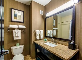 Holiday Inn Arlington NE Rangers Ballpark
