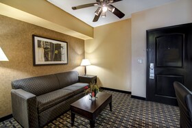 Holiday Inn Arlington NE Rangers Ballpark