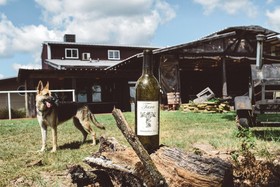 Tara Vineyard & Winery