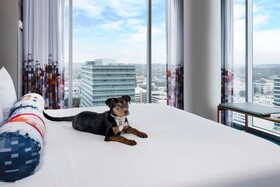 Aloft Austin Downtown