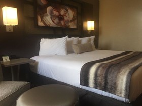 Best Western Plus Austin Central