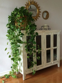 Casa del Sol B&B
