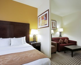 Comfort Suites North