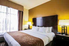 Comfort Suites North