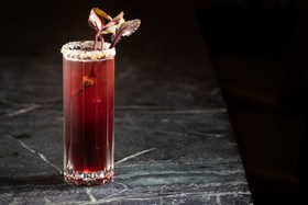 Four Seasons Hotel Austin