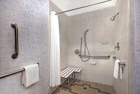 Hampton Inn Suites Austin University