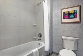 Hampton Inn Suites Austin University