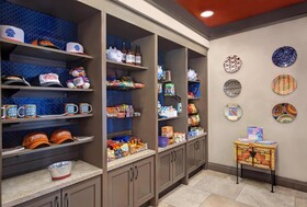 Hampton Inn Suites Austin University