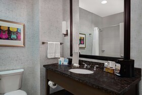 Hampton Inn Suites Austin University