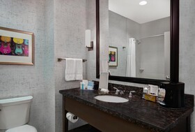 Hampton Inn Suites Austin University
