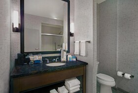 Hampton Inn Suites Austin University