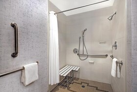 Hampton Inn Suites Austin University