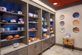 Hampton Inn Suites Austin University