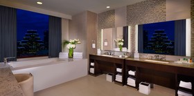 Hilton Austin