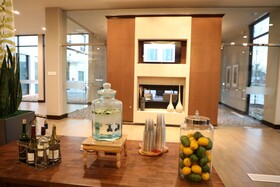 Hilton Garden Inn Austin Airport