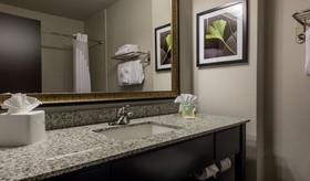 Holiday Inn Austin Airport