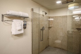 Holiday Inn Austin Midtown
