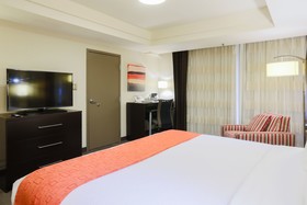 Holiday Inn Austin Midtown