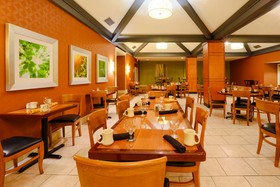 Holiday Inn Austin Midtown